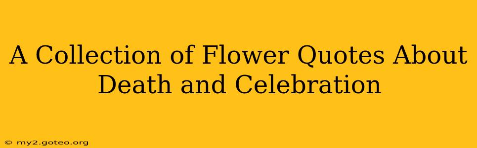 A Collection of Flower Quotes About Death and Celebration