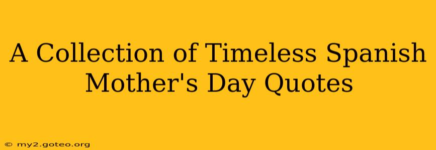 A Collection of Timeless Spanish Mother's Day Quotes