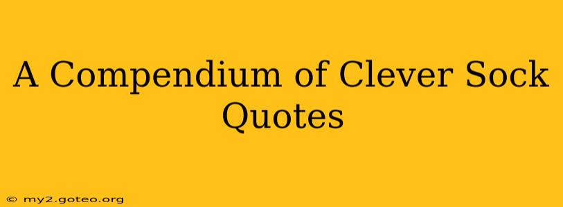 A Compendium of Clever Sock Quotes
