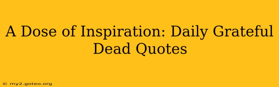A Dose of Inspiration: Daily Grateful Dead Quotes