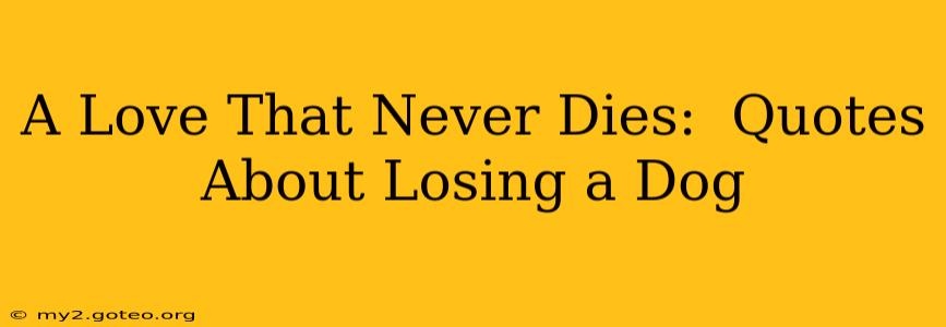 A Love That Never Dies:  Quotes About Losing a Dog