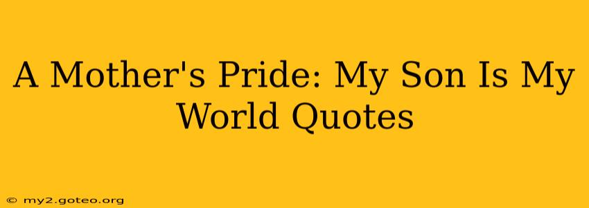 A Mother's Pride: My Son Is My World Quotes