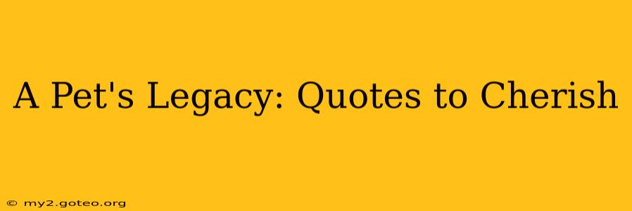 A Pet's Legacy: Quotes to Cherish