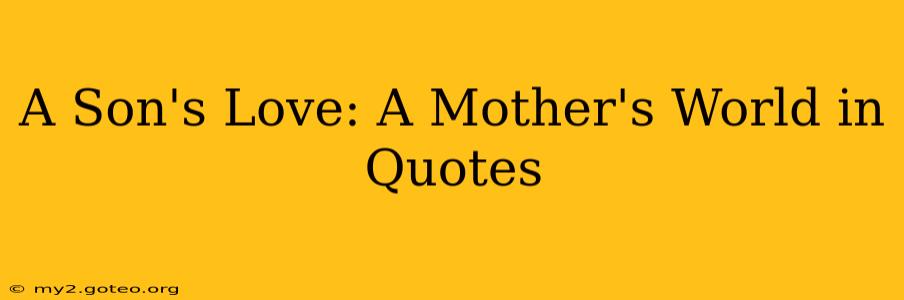 A Son's Love: A Mother's World in Quotes