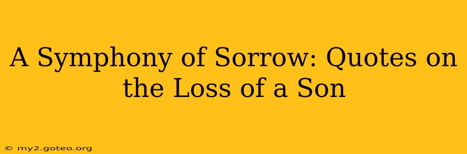 A Symphony of Sorrow: Quotes on the Loss of a Son