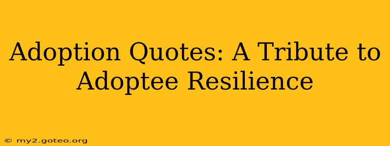 Adoption Quotes: A Tribute to Adoptee Resilience