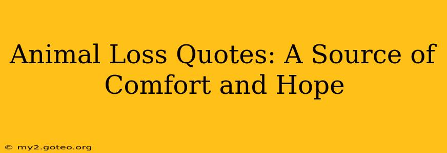 Animal Loss Quotes: A Source of Comfort and Hope