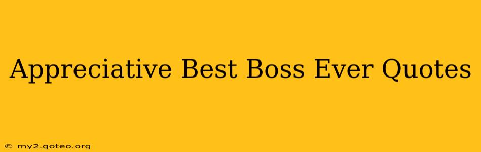 Appreciative Best Boss Ever Quotes