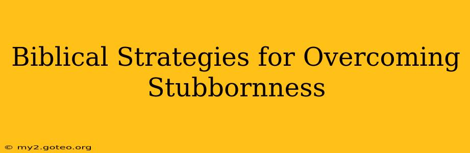 Biblical Strategies for Overcoming Stubbornness