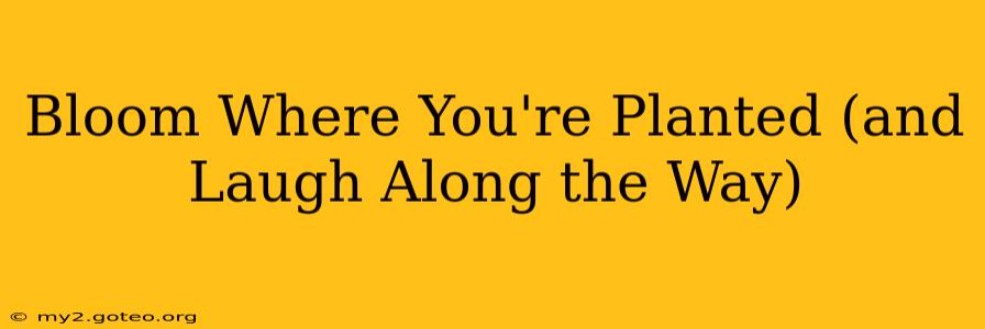 Bloom Where You're Planted (and Laugh Along the Way)