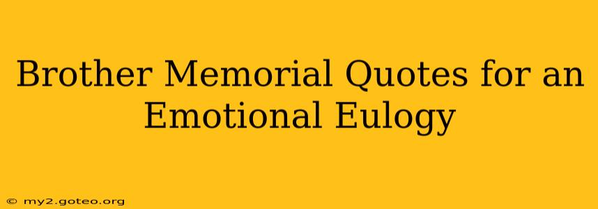 Brother Memorial Quotes for an Emotional Eulogy
