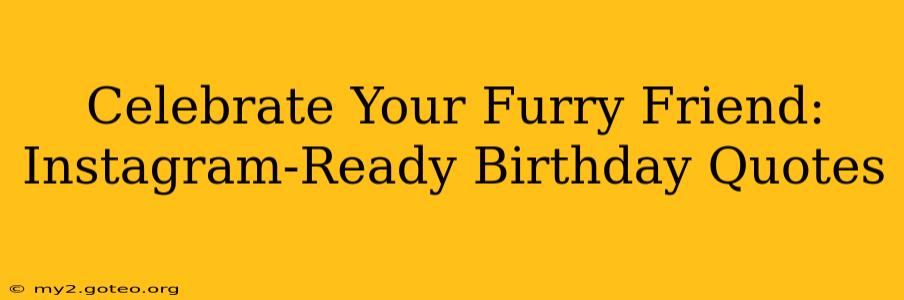 Celebrate Your Furry Friend: Instagram-Ready Birthday Quotes