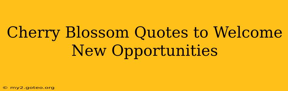 Cherry Blossom Quotes to Welcome New Opportunities