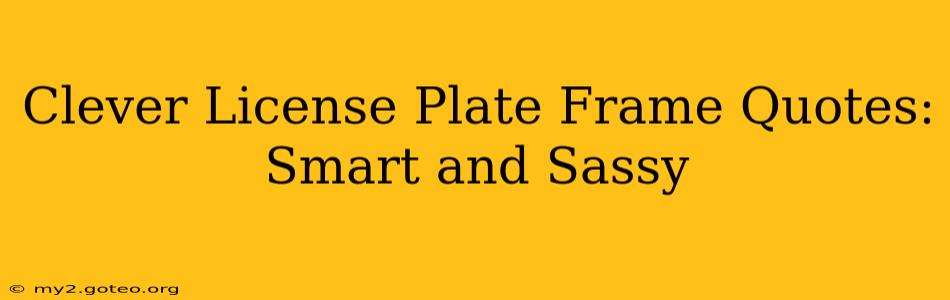 Clever License Plate Frame Quotes:  Smart and Sassy