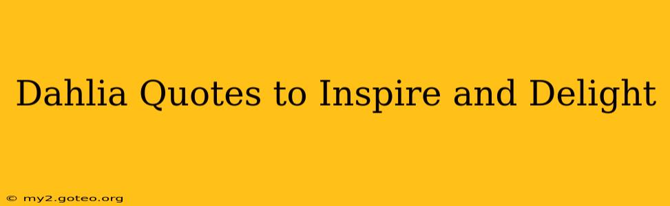 Dahlia Quotes to Inspire and Delight