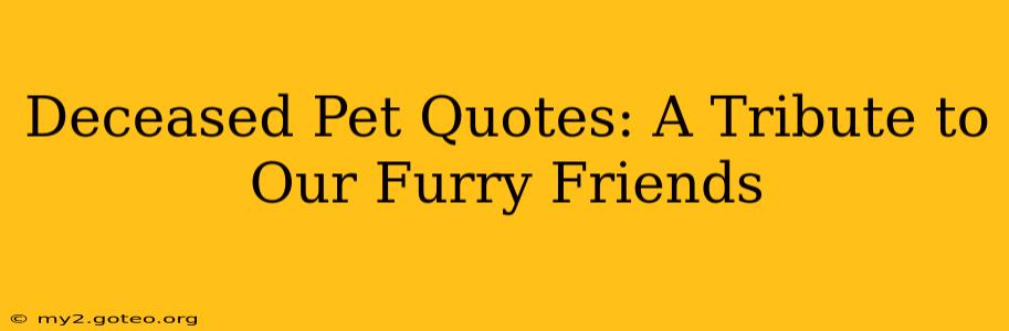 Deceased Pet Quotes: A Tribute to Our Furry Friends
