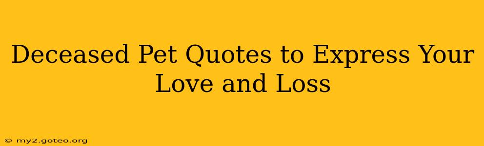 Deceased Pet Quotes to Express Your Love and Loss