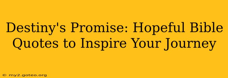 Destiny's Promise: Hopeful Bible Quotes to Inspire Your Journey