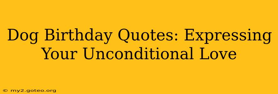 Dog Birthday Quotes: Expressing Your Unconditional Love