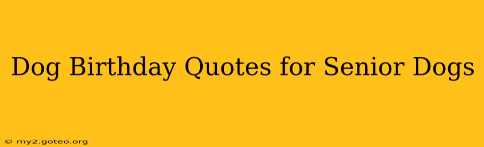 Dog Birthday Quotes for Senior Dogs