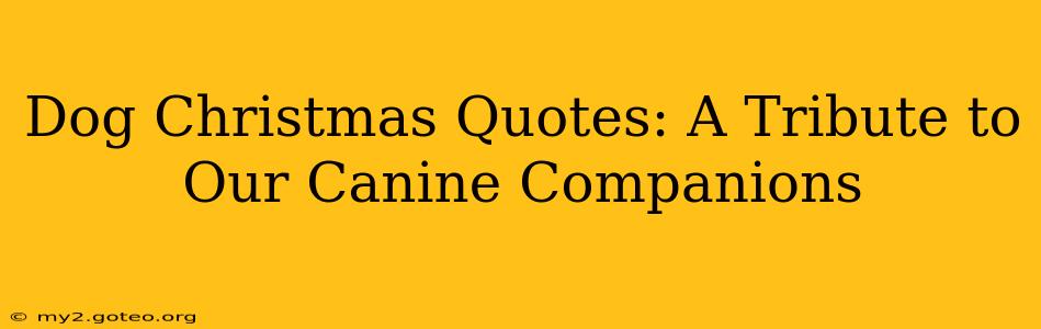 Dog Christmas Quotes: A Tribute to Our Canine Companions