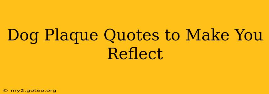 Dog Plaque Quotes to Make You Reflect