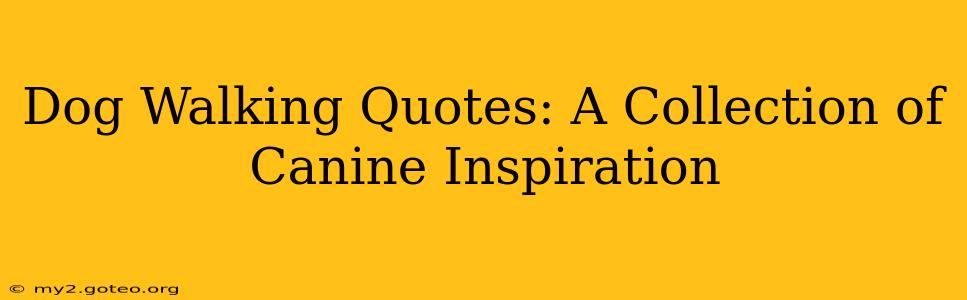 Dog Walking Quotes: A Collection of Canine Inspiration