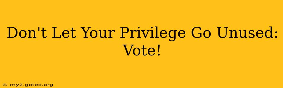 Don't Let Your Privilege Go Unused: Vote!