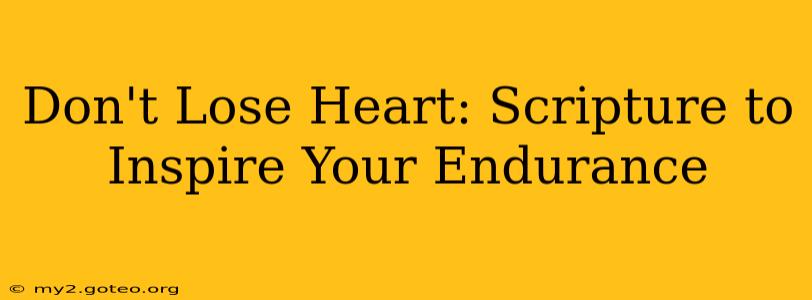 Don't Lose Heart: Scripture to Inspire Your Endurance