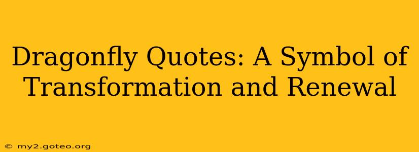 Dragonfly Quotes: A Symbol of Transformation and Renewal
