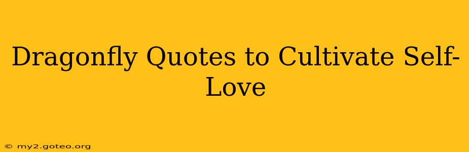 Dragonfly Quotes to Cultivate Self-Love