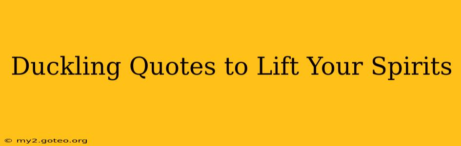 Duckling Quotes to Lift Your Spirits
