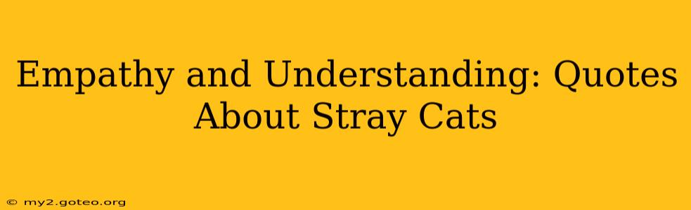 Empathy and Understanding: Quotes About Stray Cats