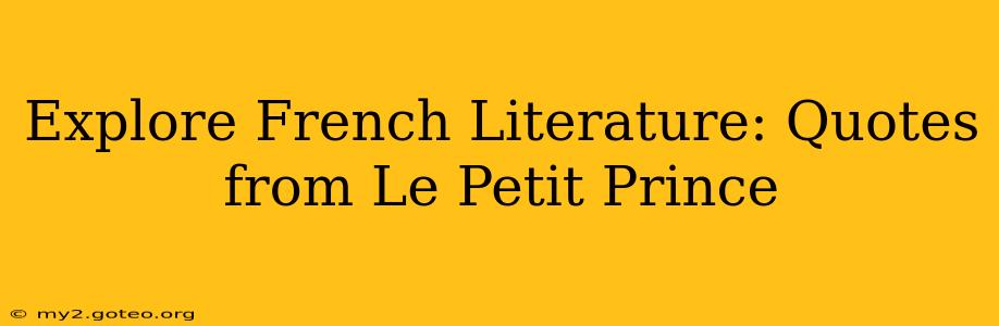 Explore French Literature: Quotes from Le Petit Prince