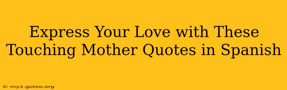 Express Your Love with These Touching Mother Quotes in Spanish