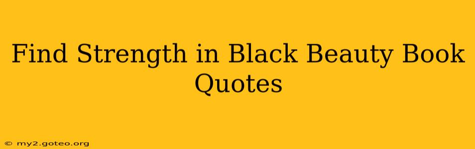 Find Strength in Black Beauty Book Quotes