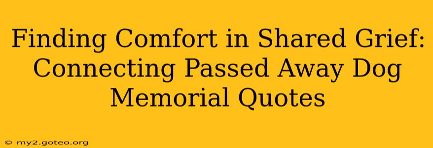 Finding Comfort in Shared Grief:  Connecting Passed Away Dog Memorial Quotes