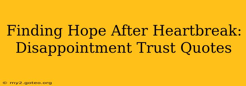 Finding Hope After Heartbreak: Disappointment Trust Quotes