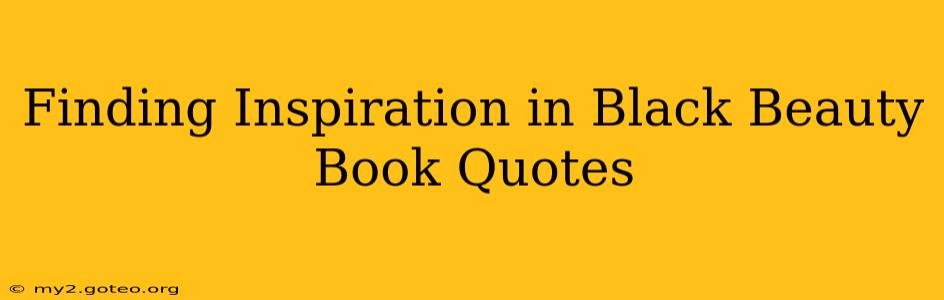 Finding Inspiration in Black Beauty Book Quotes