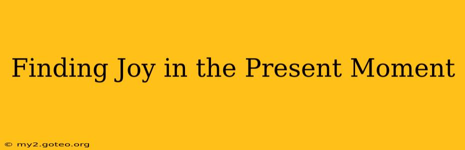 Finding Joy in the Present Moment