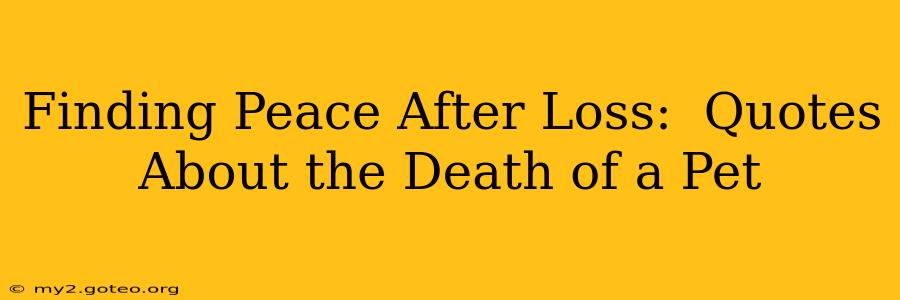 Finding Peace After Loss:  Quotes About the Death of a Pet