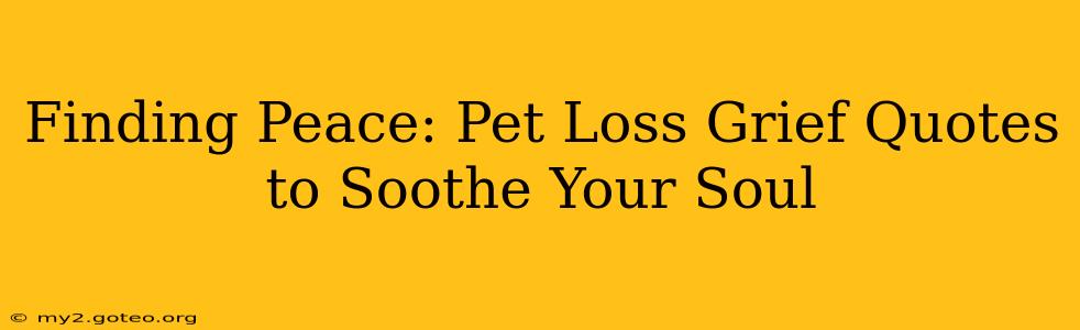 Finding Peace: Pet Loss Grief Quotes to Soothe Your Soul