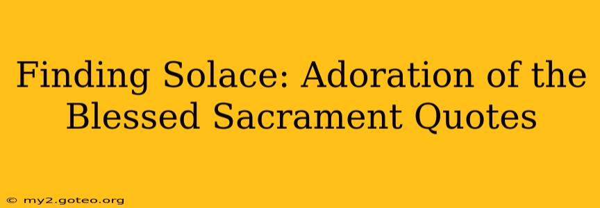 Finding Solace: Adoration of the Blessed Sacrament Quotes