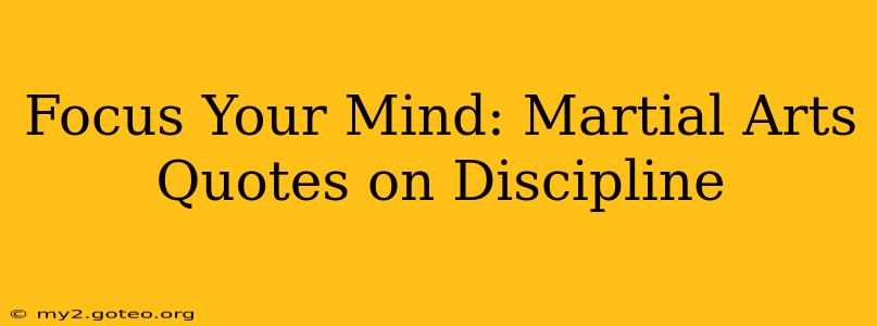 Focus Your Mind: Martial Arts Quotes on Discipline