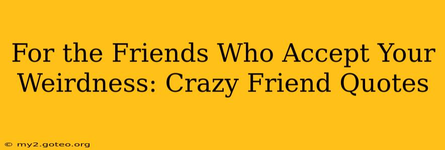 For the Friends Who Accept Your Weirdness: Crazy Friend Quotes