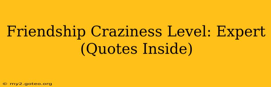 Friendship Craziness Level: Expert (Quotes Inside)