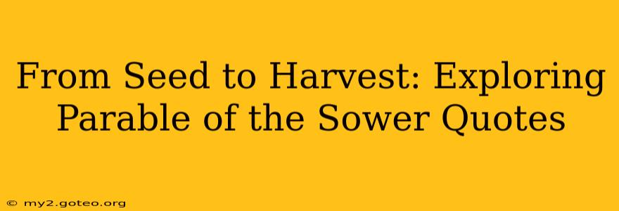From Seed to Harvest: Exploring Parable of the Sower Quotes