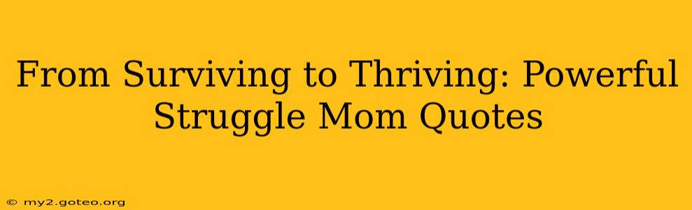 From Surviving to Thriving: Powerful Struggle Mom Quotes