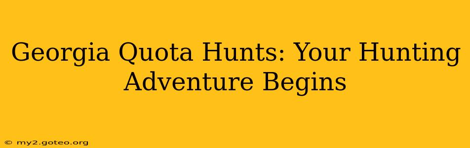 Georgia Quota Hunts: Your Hunting Adventure Begins