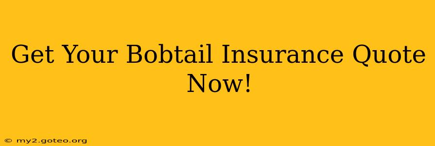 Get Your Bobtail Insurance Quote Now!